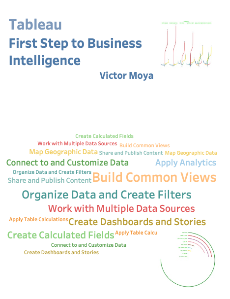 Tableau First Step for Business Intelligence